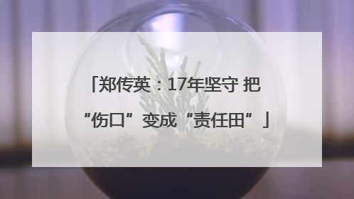 郑传英：17年坚守 把“伤口”变成“责任田”